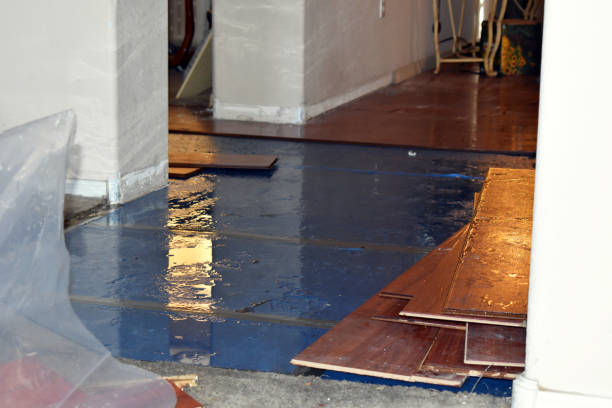 Professional Basement Flood Cleanup technician working in Wellsville, PA